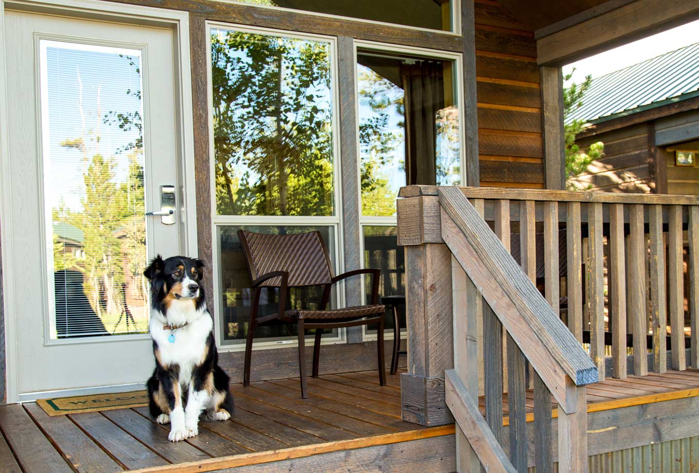 West Yellowstone pet friendly lodging - Explorer Cabins at Yellowstone