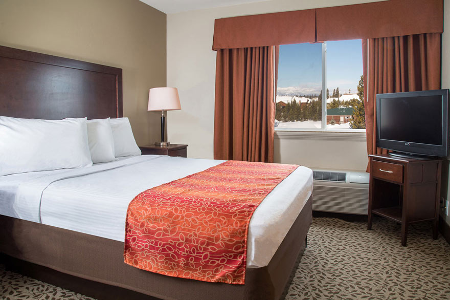 Some Gray Wolf family suites feature 2 separate bedrooms for even more privacy