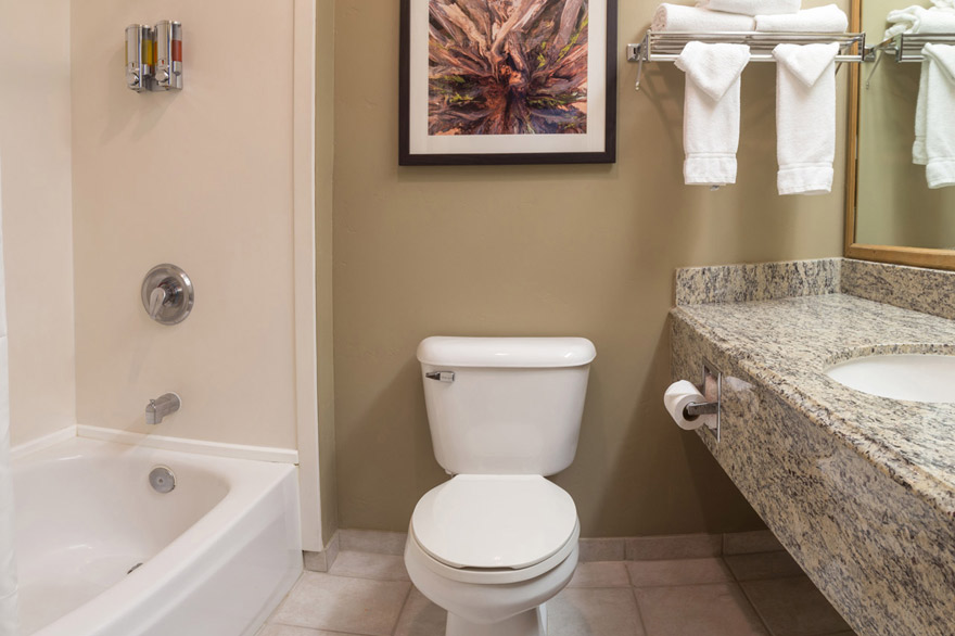 Gray Wolf Inn and Suites standard bathroom