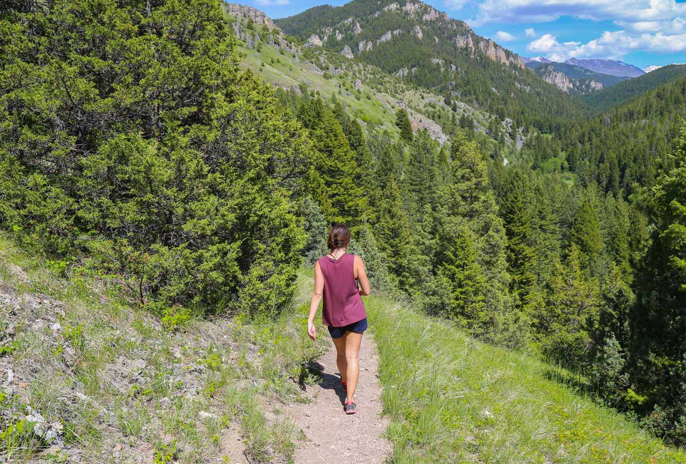 Summer hiking in Yellowstone National Park