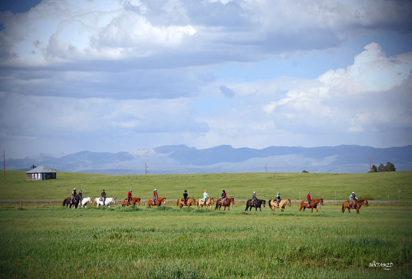 Horseback riding in Yellowstone National Park