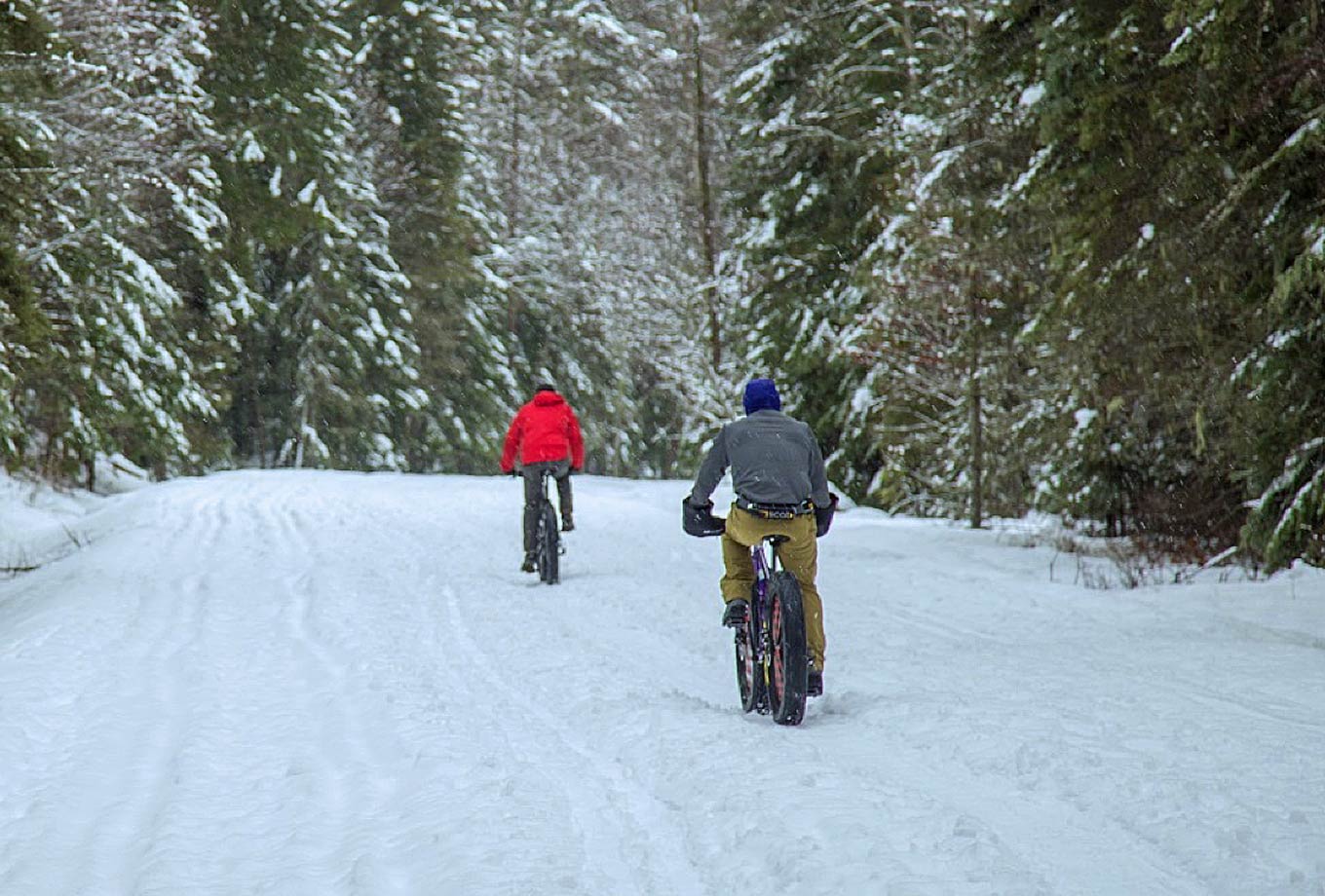 Fat Biking in West Yellowstone, MT