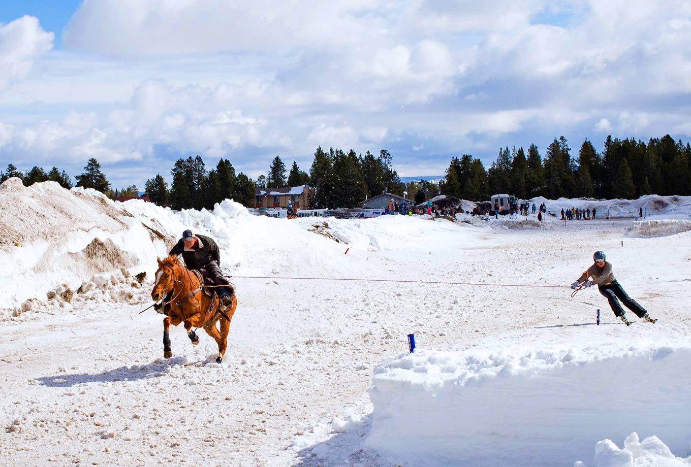 Skijoring in West Yellowstone, MT