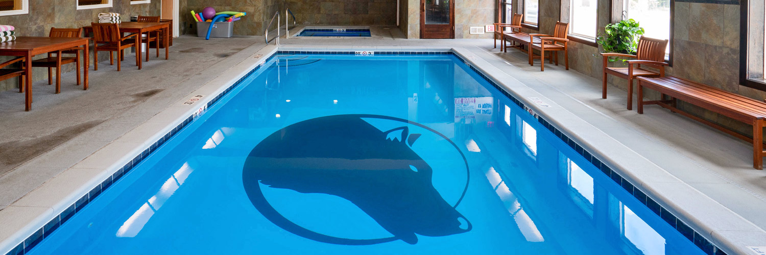 Indoor heated pool at Gray Wolf Inn and Suites