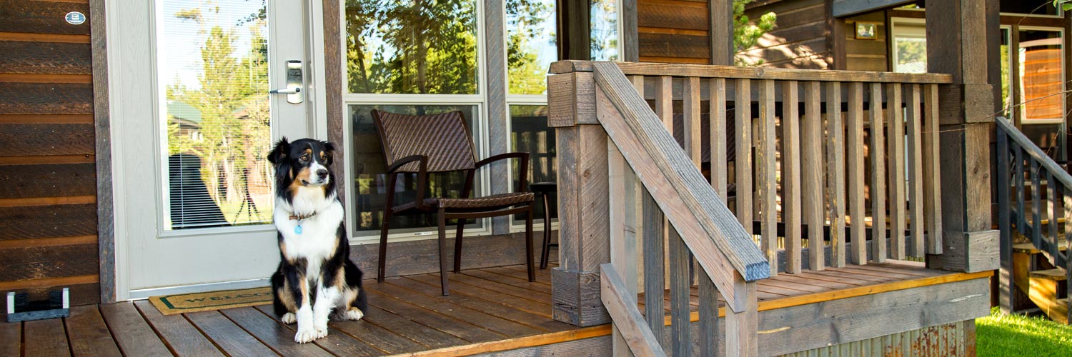 Dog sitting on the porch of Yellowstone pet-friendly cabins