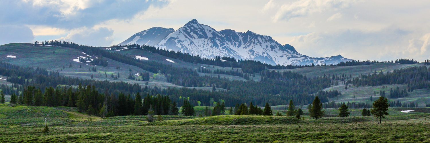 Yellowstone snow covered mountains and wide range of trees