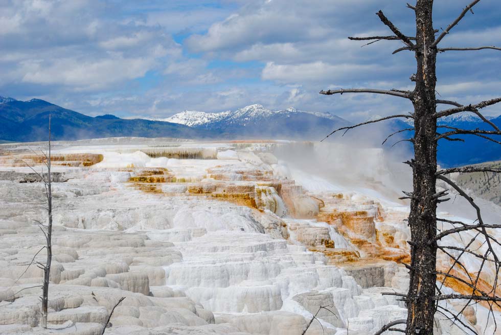 Mammoth terraces in Yellowstone National Park