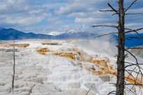 Mammoth terraces in Yellowstone National Park