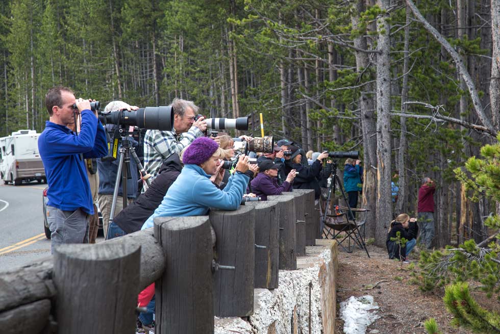 Yellowstone National Park photographers