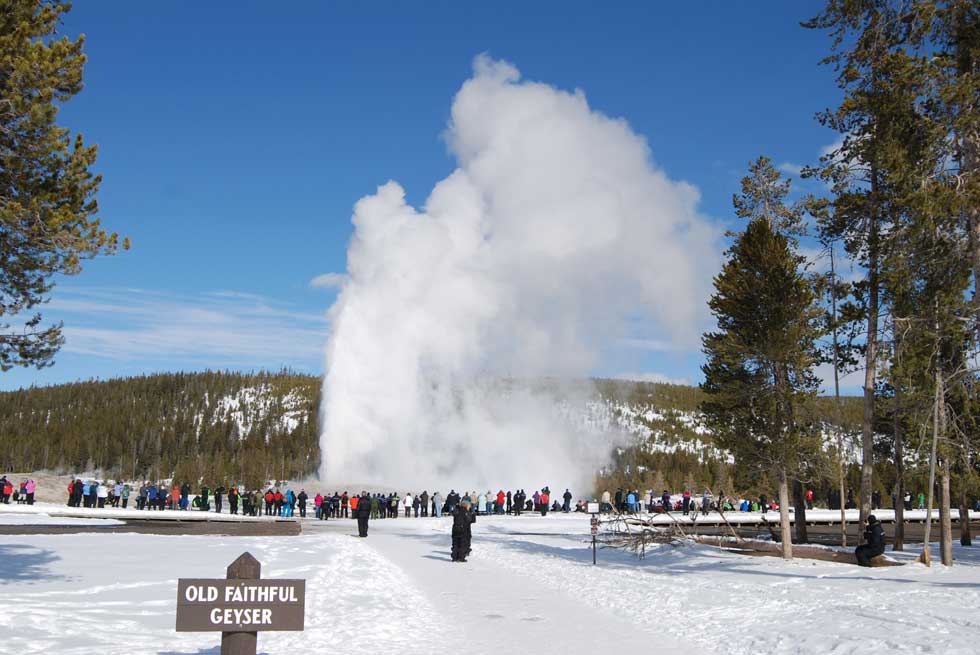 Old Faithful erupting during winter