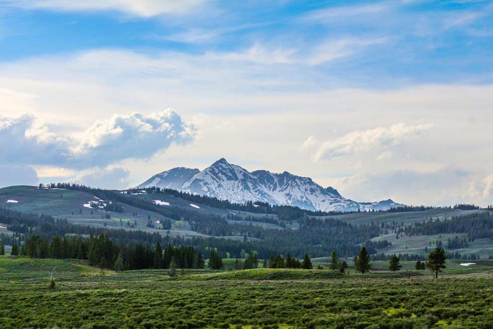 Yellowstone Electric Peak mountain on a sunny day