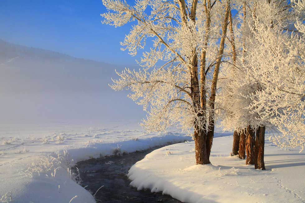 Lamar Valley during the winter
