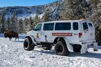 A snowcoach from Gardiner, MT next to a bison in Yellowstone National Park