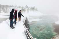 Learn about fascinating thermal features from our knowledgeable interpretive guides.