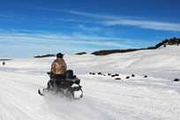 A Yellowstone snowmobile rider viewing a group of bison