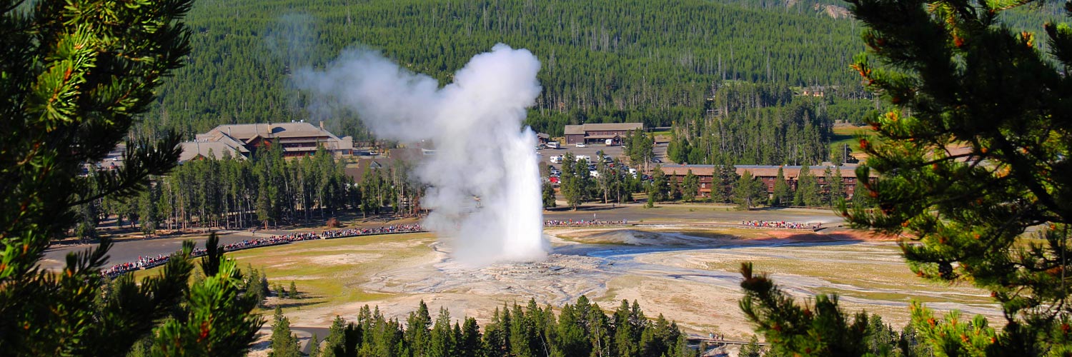 Old Faithful Geyser in summer at Yellowstone National Park