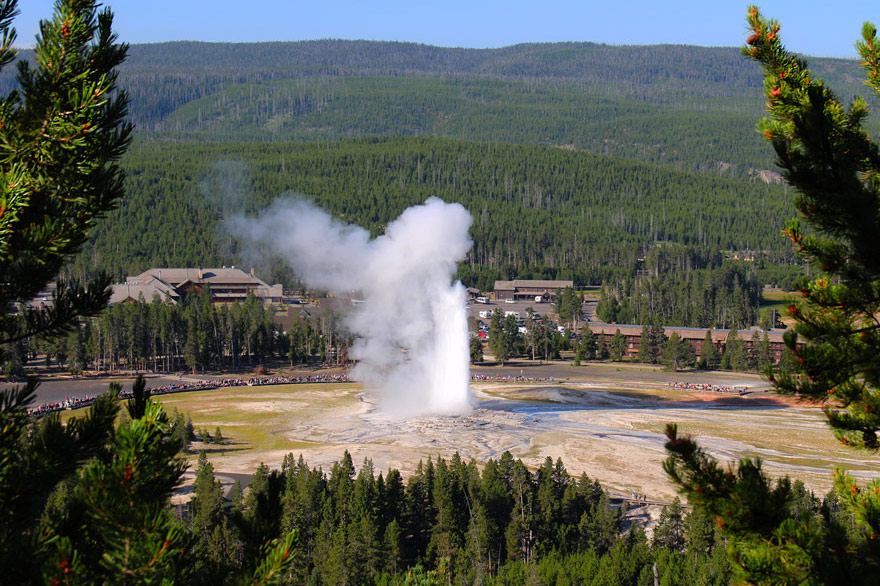 An eruption of Old Faithful Geyser in summer