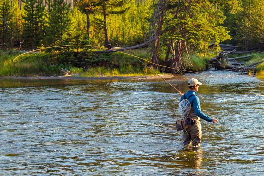 Fly fishing in Yellowstone National Park